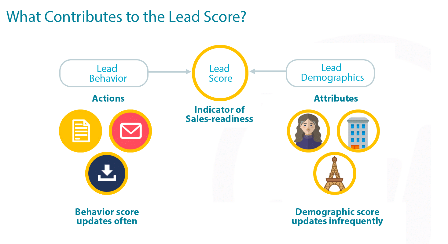 Infographic showing what contributes to lead scoring